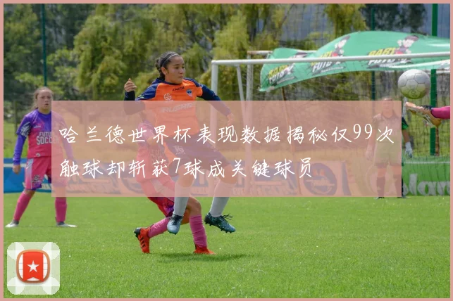 哈兰德世界杯表现数据揭秘仅99次触球却斩获7球成关键球员